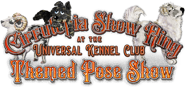 Show banner