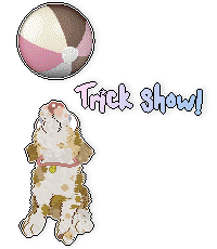 Show banner