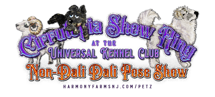 Show banner