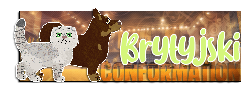 UKC: Conformation Shows