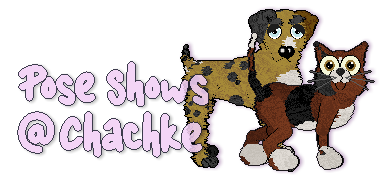 Show banner
