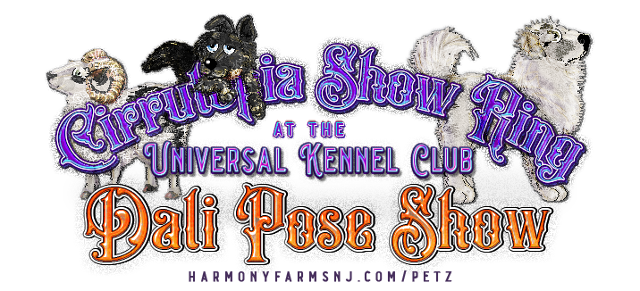 Show banner
