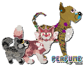 Show banner