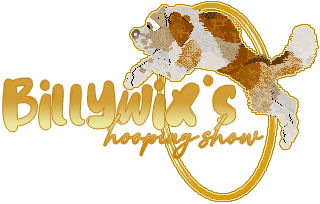 Show banner