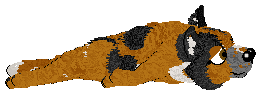 Show banner