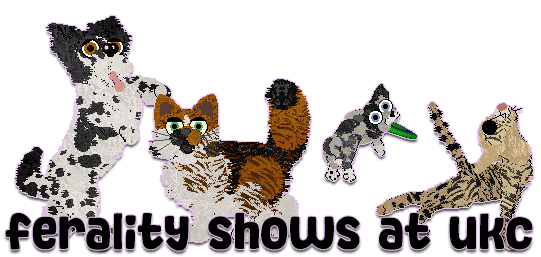 Show banner