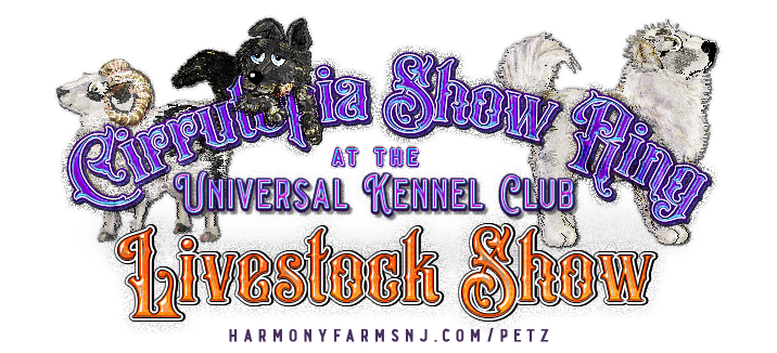 Show banner