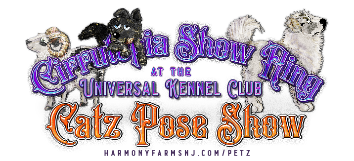 Show banner