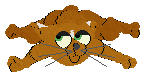 Show banner