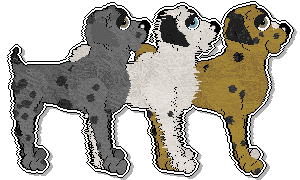 Show banner