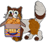 Show banner