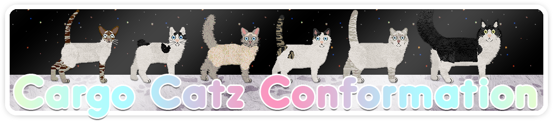 Show banner