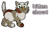Show banner