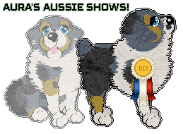 Show banner