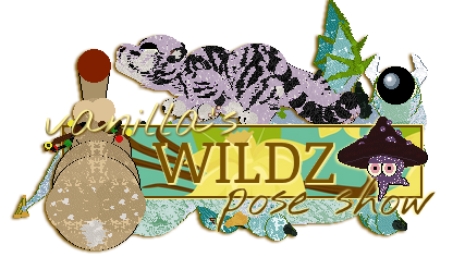 Show banner