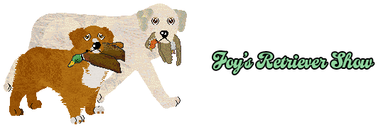 Show banner