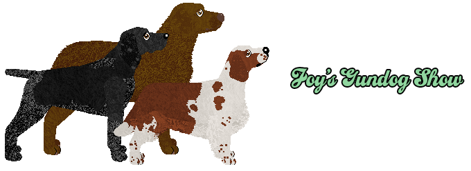 Show banner