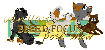 Show banner