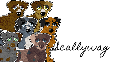 Show banner