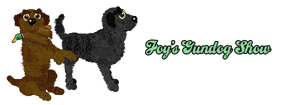 Show banner