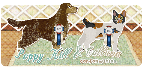 Show banner