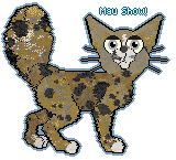 Show banner
