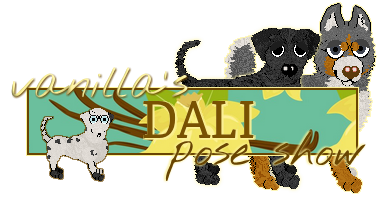 Show banner