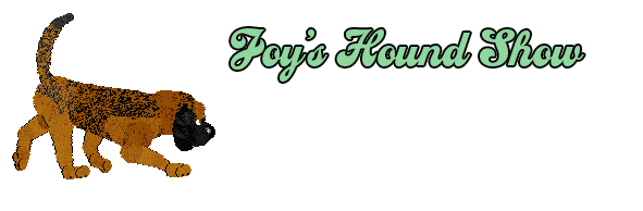 Show banner