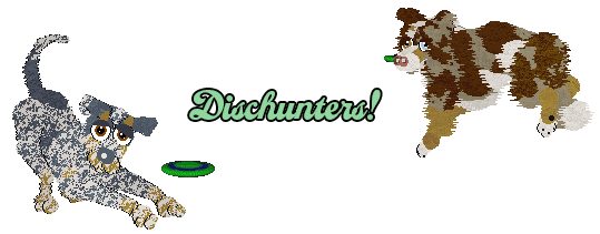 Show banner